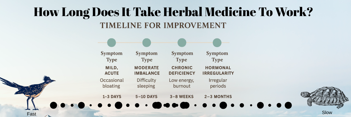 what is the average time for herbs to work?