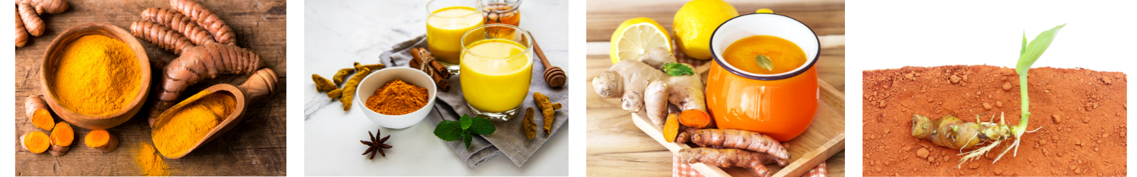 turmeric in all forms