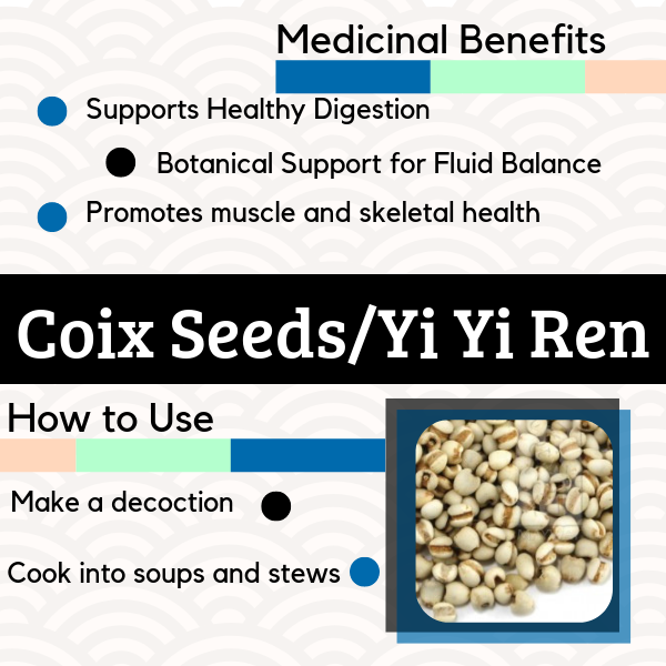 Yi Yi Ren, commonly known as Coix Seed, Job's Tears and Pearl Barly. It is a small white seed used for herbal remedies.