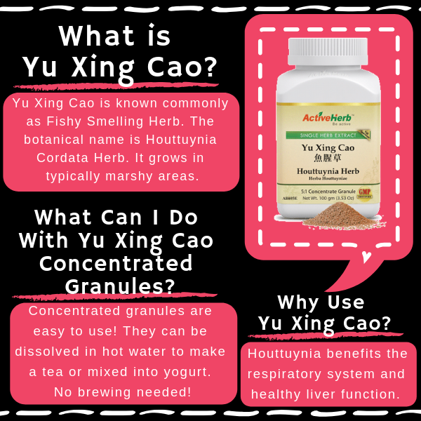 Yu Xing Cao (Houttuynia Herb, Herba Houttuyniae, 鱼腥草) bulk