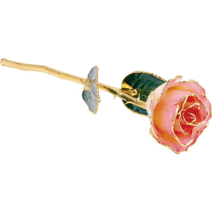 Lacquered Cream Rose With Gold Trim