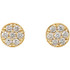 Superb style is found in these 14k yellow gold cluster earrings accented with the brilliance of round full cut white diamonds.