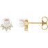 Specifications
Weight:	1.44 grams
Length:	6.29 mm
Material:	Gold
Width:	6.26 mm
Height:	2.02 mm
Plating Type:	Rhodium-Plated
Surface Finish:	Polished
Primary Stone Shape:	Pearl
Diamond CTW:	0.08
Jewelry Material Type1:	Gold
Metal Purity1:	14k
Metal Color1:	Yellow
Die Struck:	N
Metal Mold:	N
Post Diameter:	.03 In
Earring Type:	STUD
Earring Post Type:	Friction
Earring Back Type Included:	Friction Backs Included
Earring Closure:	Friction Post and Back
Post Length:	.37 In
Center Stone Size Range:	4.5-5 mm
Diamond Color:	G-H
Diamond Clarity:	I1
Primary Stone Count:	2-stone
Primary Stone Type:	Pearl
Selling Unit of Measure:	PR
 
Comes Set With
Quantity	Stone
2	01.50 MM (01.41 - 01.55) Full Cut, I1 ROUND G-H GENUINE DIAMOND
2	04.50-05.00 MM AA Half Drilled, Cultured Pearl - Near Round Half Drilled Freshwater; AA Quality; White
4	01.00 MM (00.95 - 01.15) Full Cut, I1 ROUND G-H GENUINE DIAMOND
4	01.30 MM (01.25 - 01.35) Faceted, I1 ROUND G-H GENUINE BOM DIAMOND