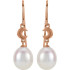 An elegant look, these drop earrings catch the eye and captivate.