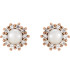 Freshwater Cultured Pearl & 1/4 CTW Diamond Earrings In 14K Rose Gold