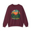 Retro Colorful Forest Landscape Sweatshirt Adult Sweatshirt S-5XL