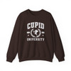 Cupid Valentines Day Sweatshirt Adult S-5XL