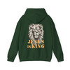 Christian Lion Graphic Faith Hoodie Adult Hoodie S-5XL