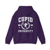 Cupid Valentines Day Hoodie Adult Hoodie S-5XL