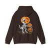 Halloween Cat And Pumpkin Hoodie Adult Hoodie S-5XL