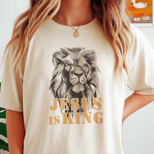 Christian Lion Graphic Faith Streetwear Shirt Adult T Shirt S-5XL