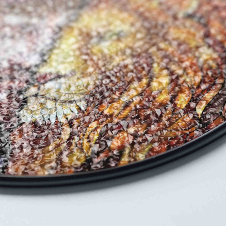 Jesus with Lion Stained Glass Suncatcher with Crown of Thorns Religious Window Hanging Decor