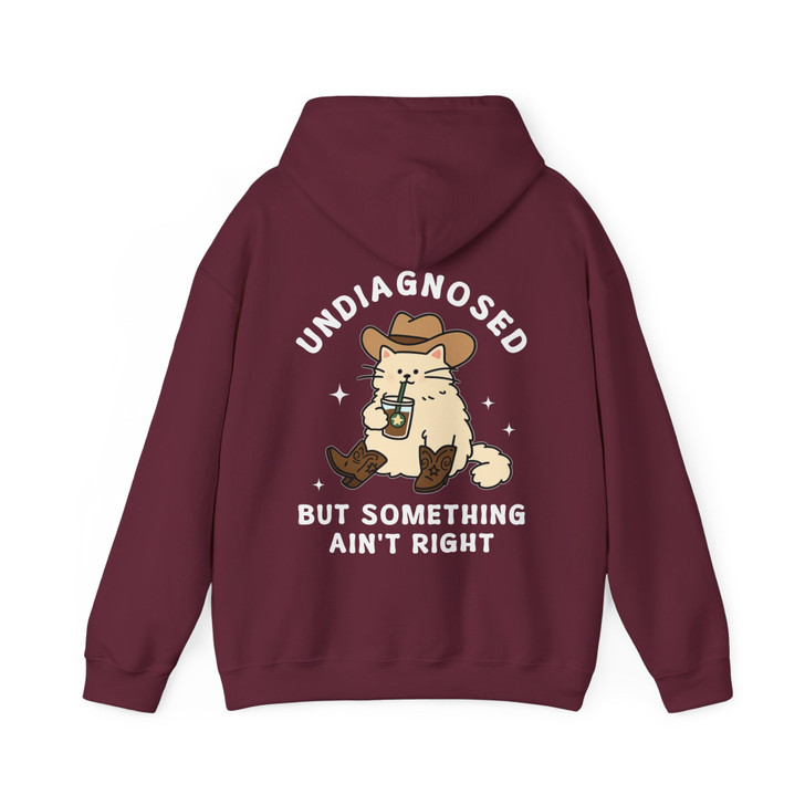 Undiagnosed But Something Ain't Right, Funny Cowboy Cat Mental Health Anxiety Graphic, Hoodie