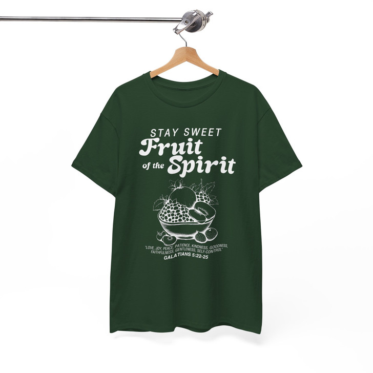 Fruits Of The Spirit Vintage Christian Shirt Adult T Shirt S-5XL