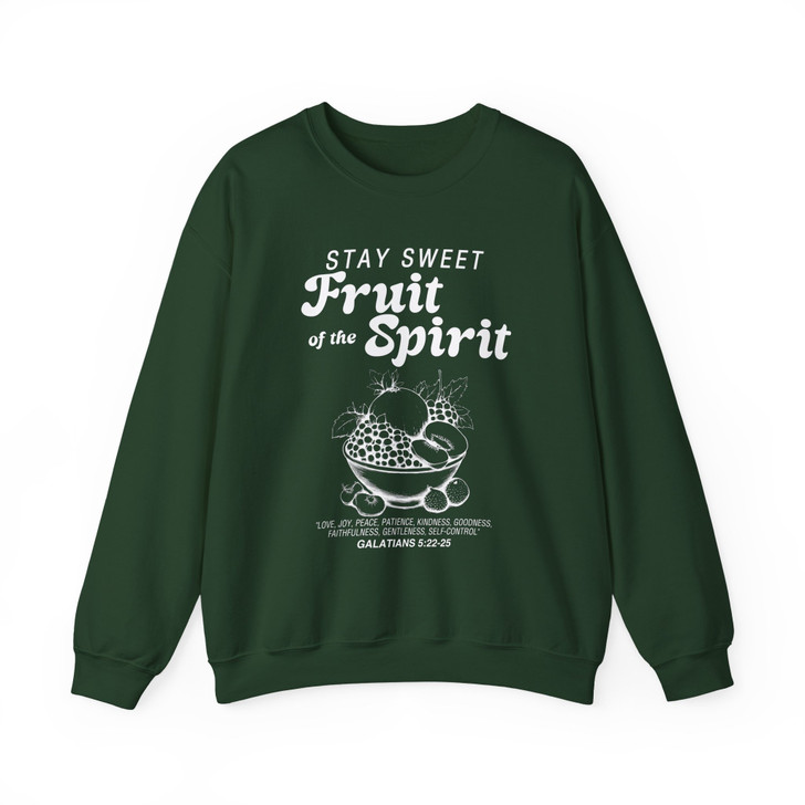 Fruits Of The Spirit Vintage Christian Sweatshirt Adult S-5XL