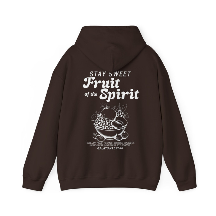 Fruits Of The Spirit Vintage Christian Hoodie Adult Hoodie S-5XL