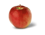 Cortland Apple