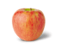 Honeycrisp Apple