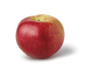 Macoun Apple