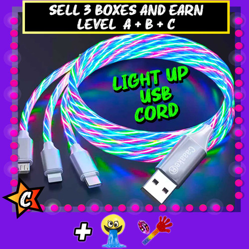 LIGHT UP CHARGING CORD