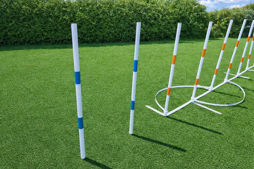32mm FCI stick in the ground weave pole
