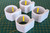 Replacement/Additional rings for Galican/Bing/Callieway 32mm poles (x4 white)