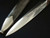 Klass SS Dagger Veteran papers  #349