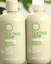 Paul Mitchell Tea Tree Hemp Restoring Shampoo, Conditioner Duo 10.14 oz / 300mL