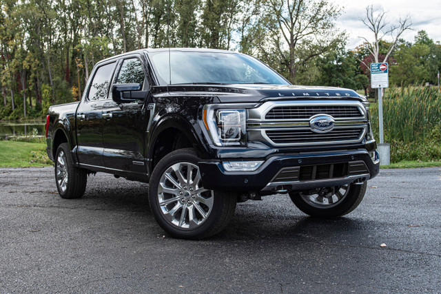 Zone 2 Inch Leveling Kit | Ford F150 (21-25) ZONF1205 Zone 2 Inch Leveling Kit | Ford F150 (21-25) ZONF1205