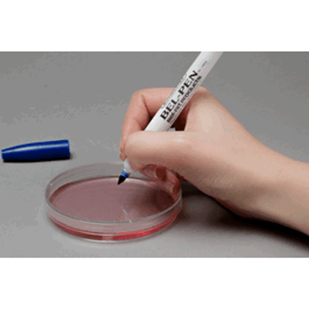 Fine Tip Alcohol-Resistant Water-Resistant Cryogenic Marker