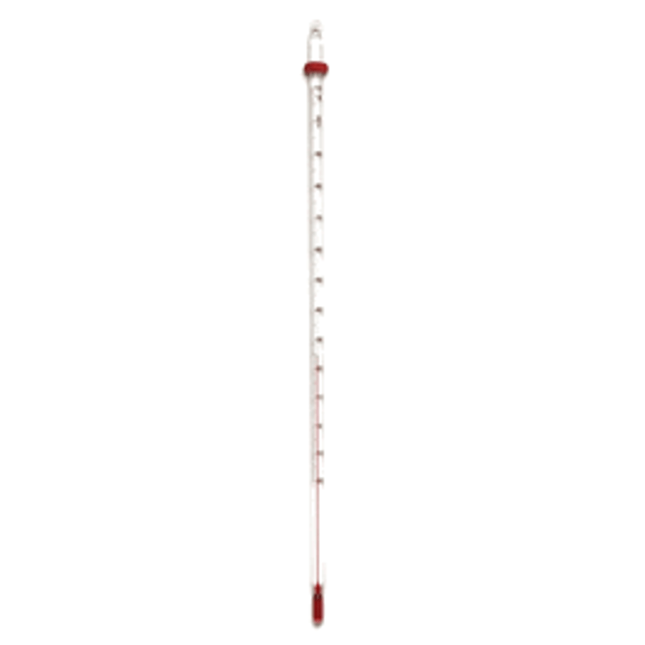 Sunmark Mercury Free Digital Thermometer