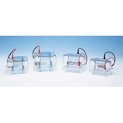 C.B.S. Scientific* Dual Vertical Mini-Gel Systems