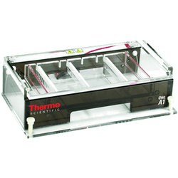 Owl* A1 Large Gel Electrophoresis System