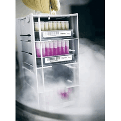 Thermo Scientific* Nunc* Cryobank 2D + Human Readable Barcoded Cryogenic Storage Tubes - Each