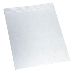 Qorpak® 2 mil. Clear LDPE Zip Bags