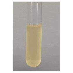 bioWORLD* M17 Broth Base (w/o B-glycerophosphate)