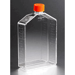 Corning® 225 cm<sup>2</sup> Traditional Cell Culture Flasks with Angle Necks