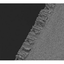 Poretics* 0.08 µm Polycarbonate Track Etched (PCTE) Membranes