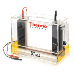 Owl® Dual-Gel Vertical Electrophoresis Systems