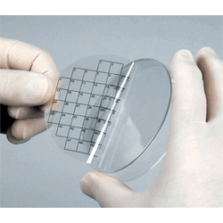 Diversified Biotech PetriStickers with Square Grids