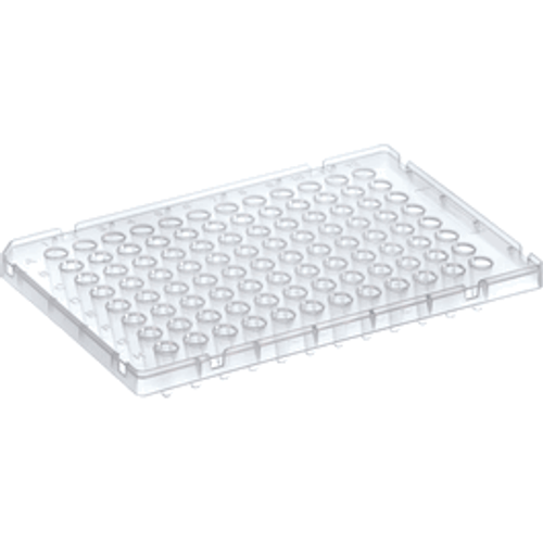 Spectrum® PCR Plate, Semi-Skirted, Fast Block