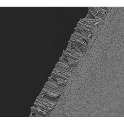 Poretics* 0.05 µm Polycarbonate Track Etched (PCTE) Membranes