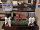 How to Cycle an Aquarium Tank up to 85% FASTER! Aquarium Tank Cycling Explained!