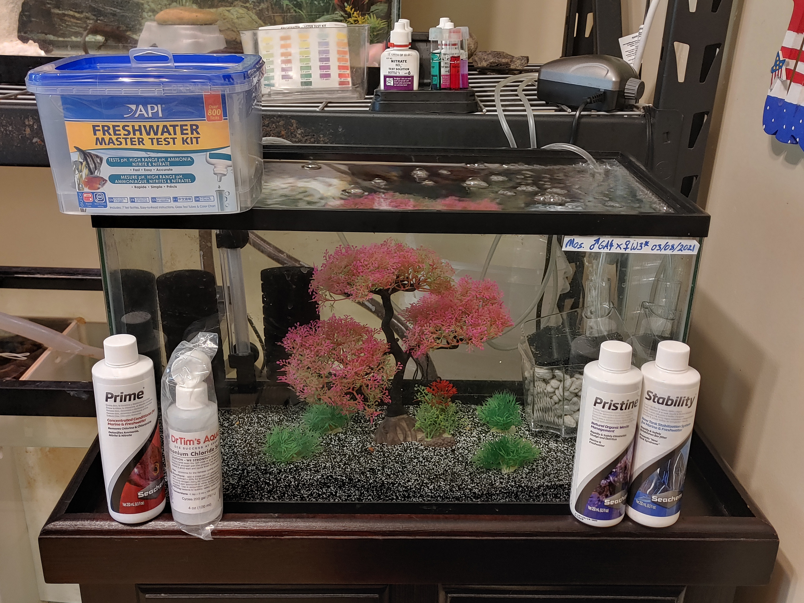 How to Cycle an Aquarium Tank up to 85 FASTER! Aquarium Tank Cycling