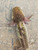 ~7-8" Male Mottled Mosaic