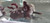 Male Mottled Mosaic (Read Product Overview)