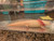 ~8-9" PRESUMED FEMALE Mel Albino (HOLDBACK RELEASE)
