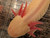 ~8-9" Presumed Female Mel Albino HOLDBACK RELEASE