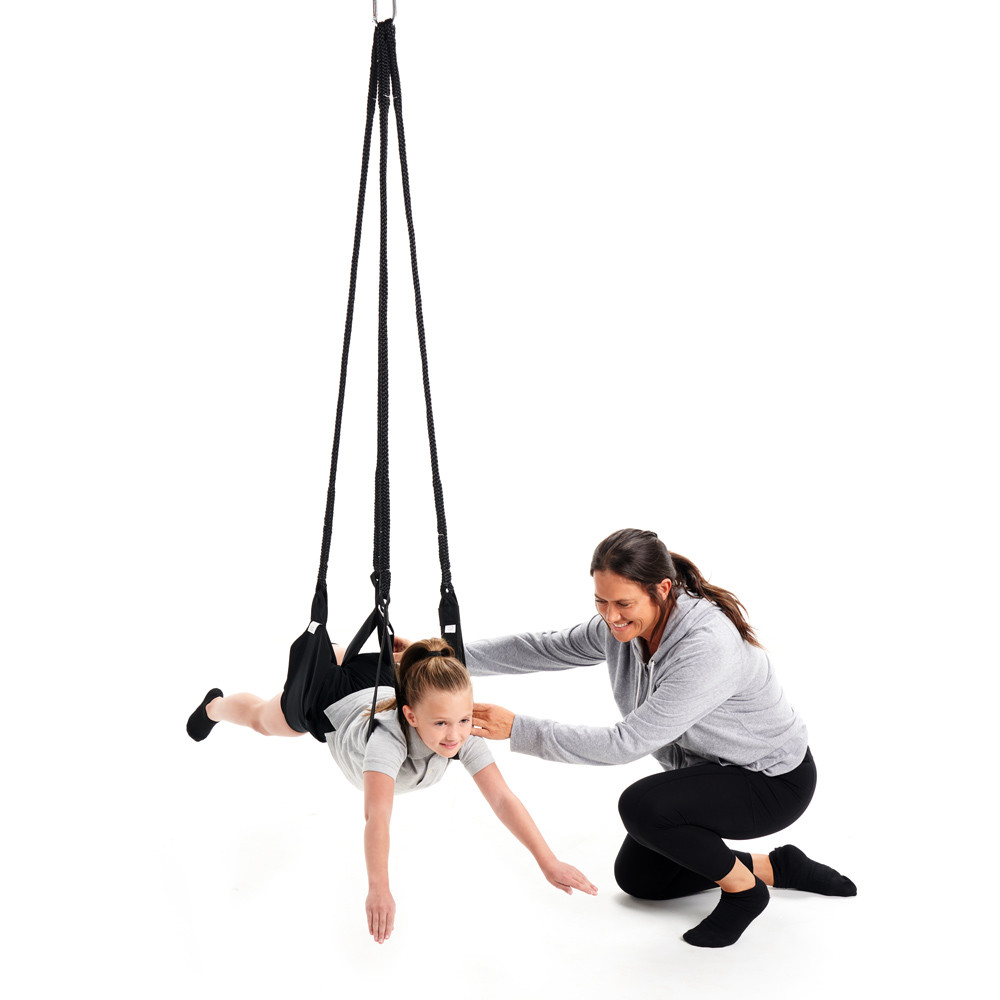 Standard Dual Swing | Therapeutic Tools