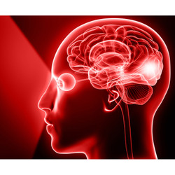 Living Life in Motion: Where Vision, Perception and Motor Skill Acquisition Collide